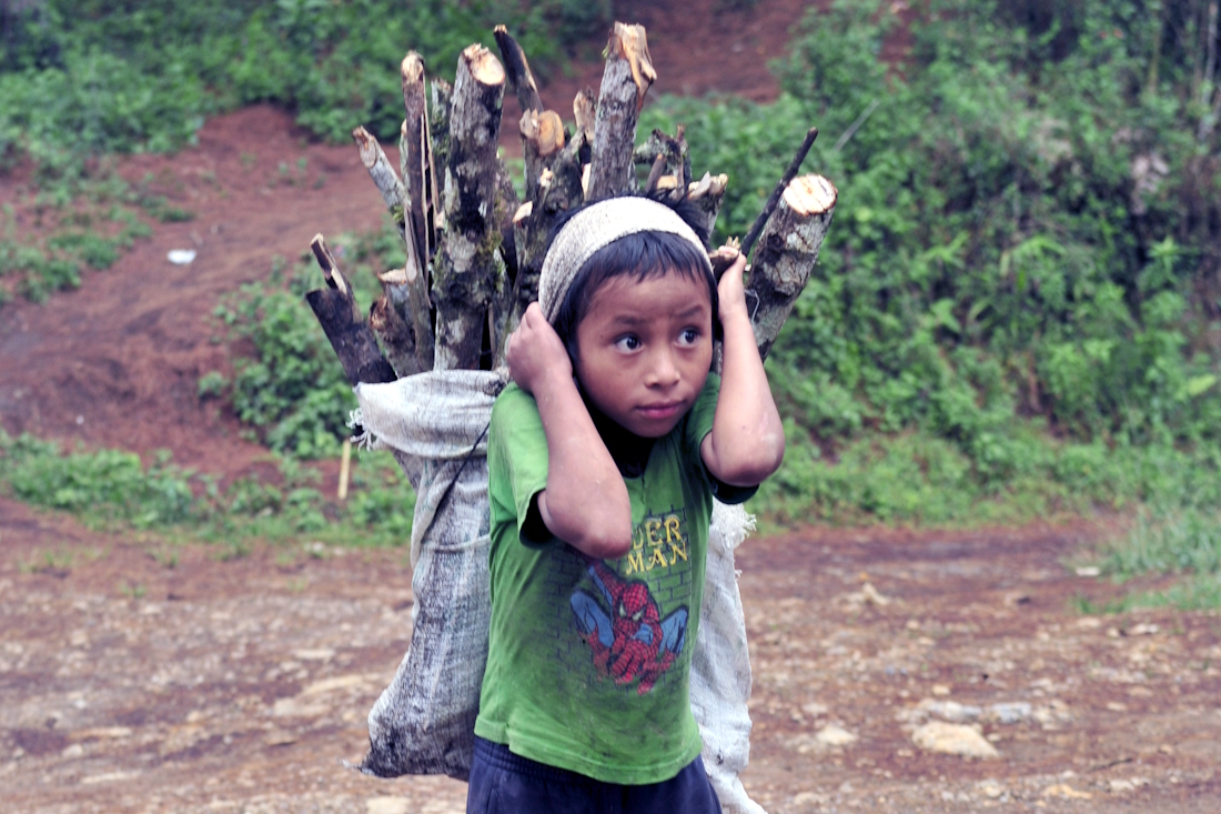 Una lacra que afecta a más de 150 millones de niños en todo el mundo